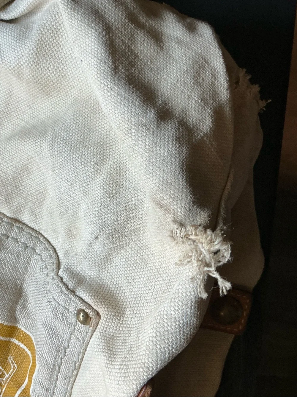 Louis Vuitton Beige Canvas Hobo with Mustard Yellow Logo Print